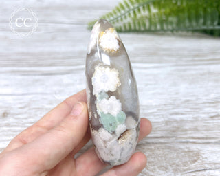 Flower Agate Freeform #6