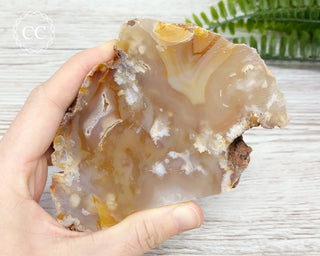 Flower Agate Polished Slice #9