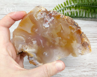 Flower Agate Polished Slice #9