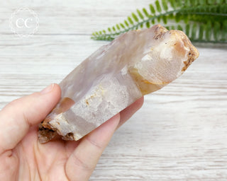 Flower Agate Polished Slice #9