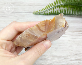 Flower Agate Polished Slice #9