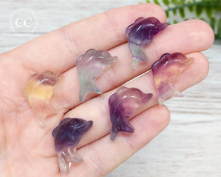 Mini Rainbow Fluorite Dolphin