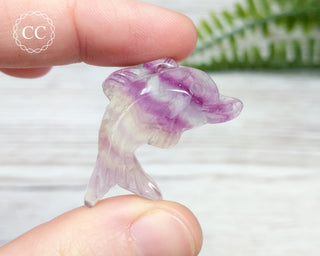 Rainbow Fluorite Dolphin #7