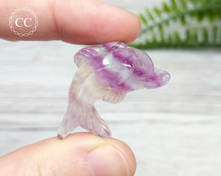 Rainbow Fluorite Dolphin #7