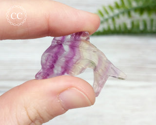 Rainbow Fluorite Dolphin #7