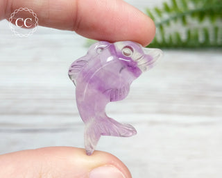 Rainbow Fluorite Dolphin #1