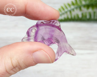 Rainbow Fluorite Dolphin #1