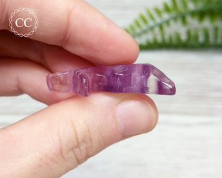 Rainbow Fluorite Dolphin #1
