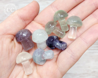 Fluorite Mini Mushroom