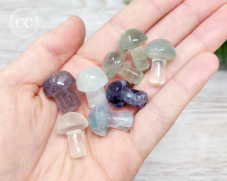 Fluorite Mini Mushrooms in hand