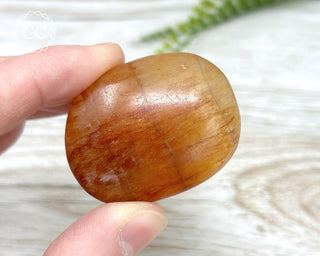 Fluorite Palm Stone #8