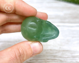 Fluorite Skull #6