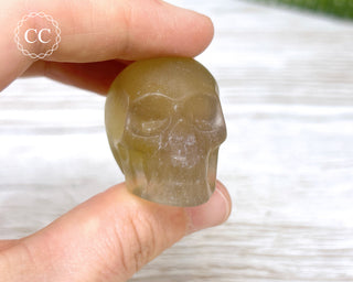 Fluorite Skull #1