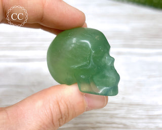 Fluorite Skull #6