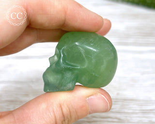 Fluorite Skull #6