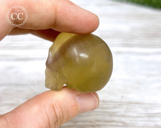 Fluorite Skull #1