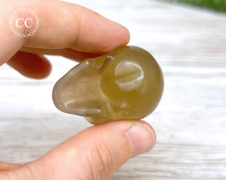 Fluorite Skull #1
