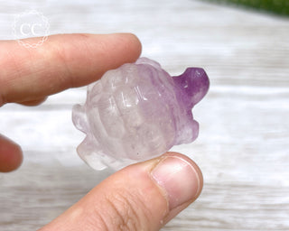Fluorite Tortoise #1