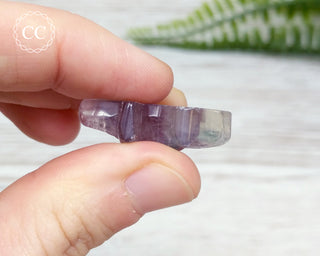 Rainbow Fluorite Triceratops