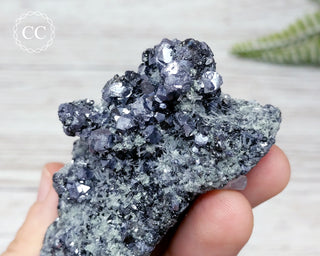 Galena, Sphalerite, Calcite and Quartz Specimen - Bulgaria #4
