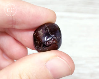 Garnet Tumbled Crystal