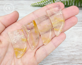 Golden Healer Fang or tooth carvings, in hand