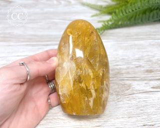 Golden Healer Freeform #1