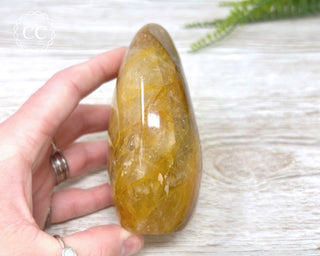 Golden Healer Freeform #2