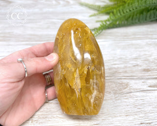 Golden Healer Freeform #1