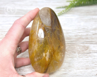 Golden Healer Freeform #2