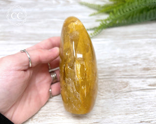 Golden Healer Freeform #1