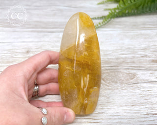 Golden Healer Freeform #3