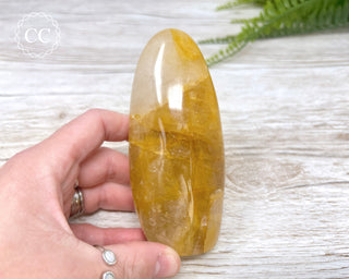 Golden Healer Freeform #3