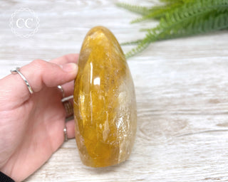 Golden Healer Freeform #1