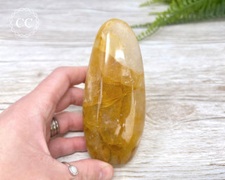 Golden Healer Freeform #3