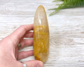 Golden Healer Freeform #3