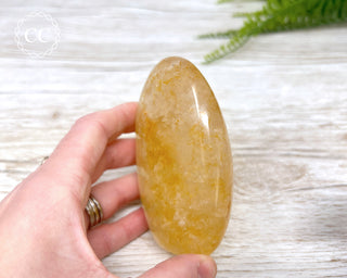 Golden Healer Freeform #4