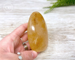 Golden Healer Freeform #4