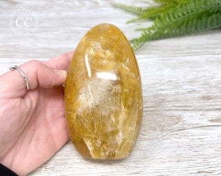Golden Healer Freeform #1