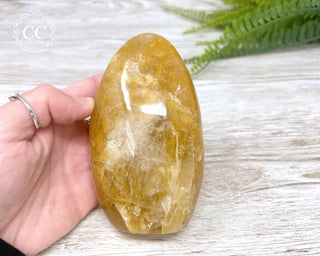 Golden Healer Freeform #1