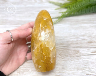 Golden Healer Freeform #1