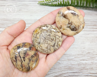 Graphical Moonstone Palm Stone