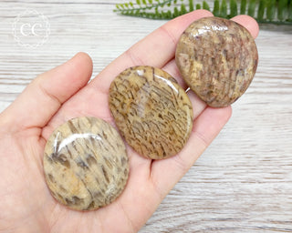 Graphical Moonstone Palm Stone