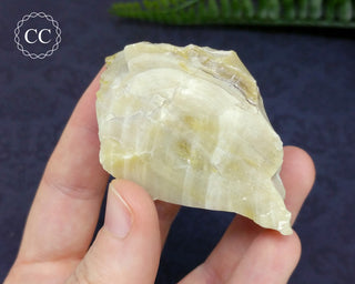Green Opal Nevada Specimen #5