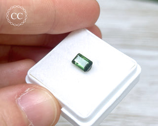 Green Tourmaline Faceted Gem #2