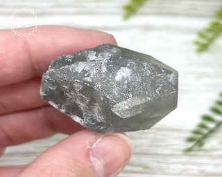 Grey Phantom Quartz Point #2