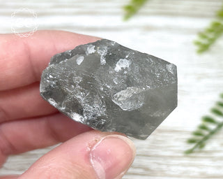 Grey Phantom Quartz Point #2