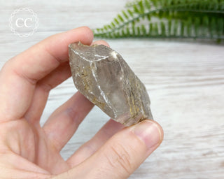 Gypsum Tabular Crystal #14