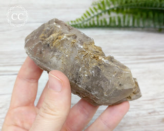 Gypsum Tabular Crystal #14
