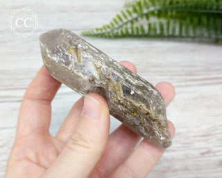 Gypsum Tabular Crystal #14